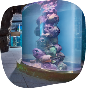 VGP Amusement Park | Underwater Virtual Aquarium Tour In Chennai