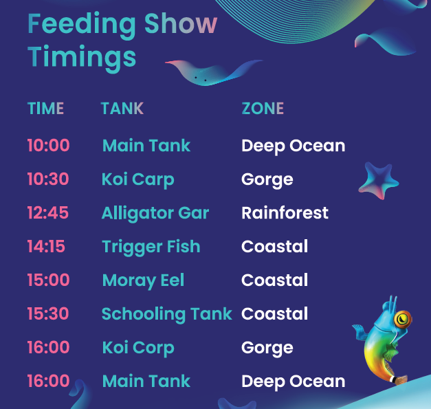 Under Water Feeding Show Timing