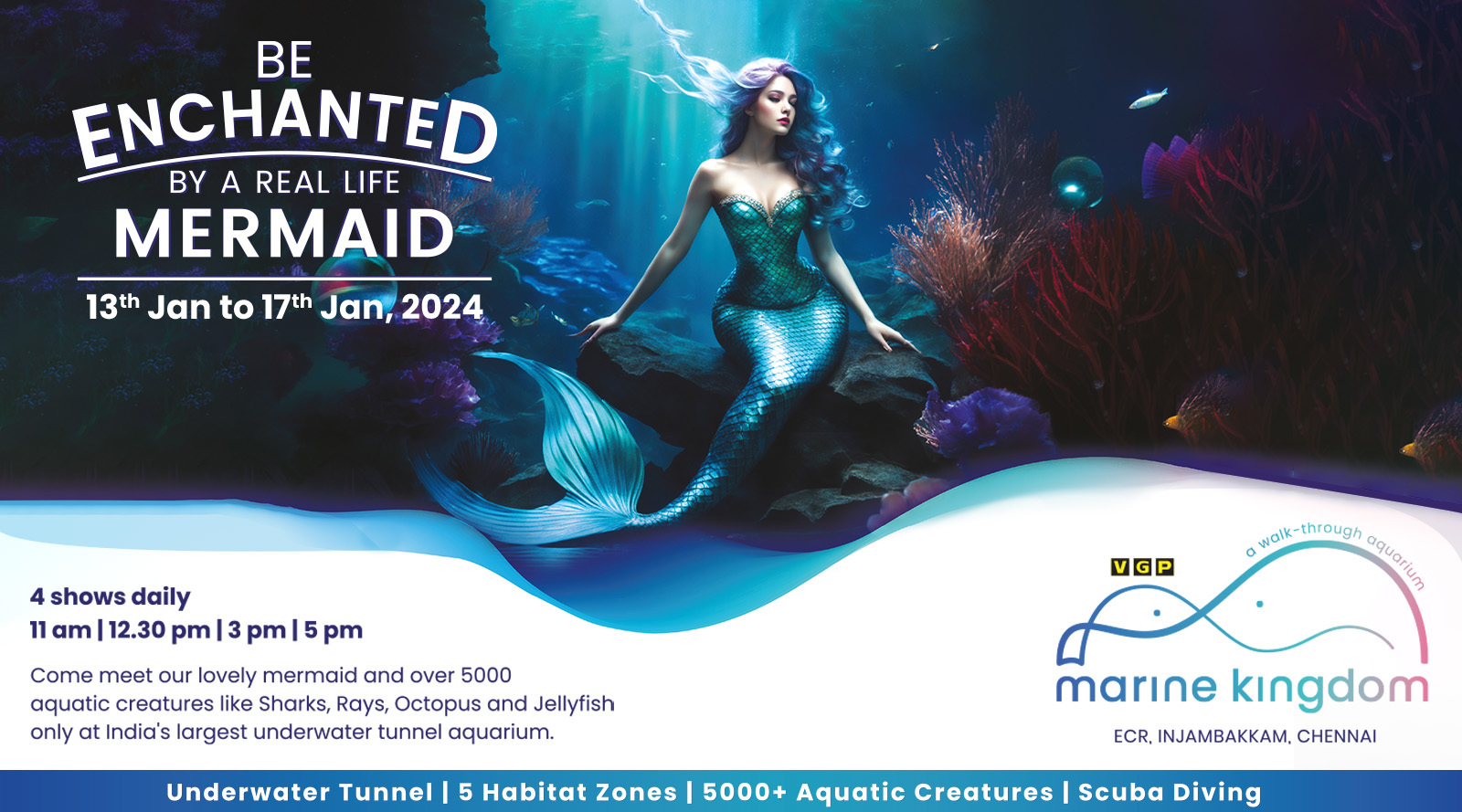 Mermaid Show: Landing page - VGP Marine Kingdom