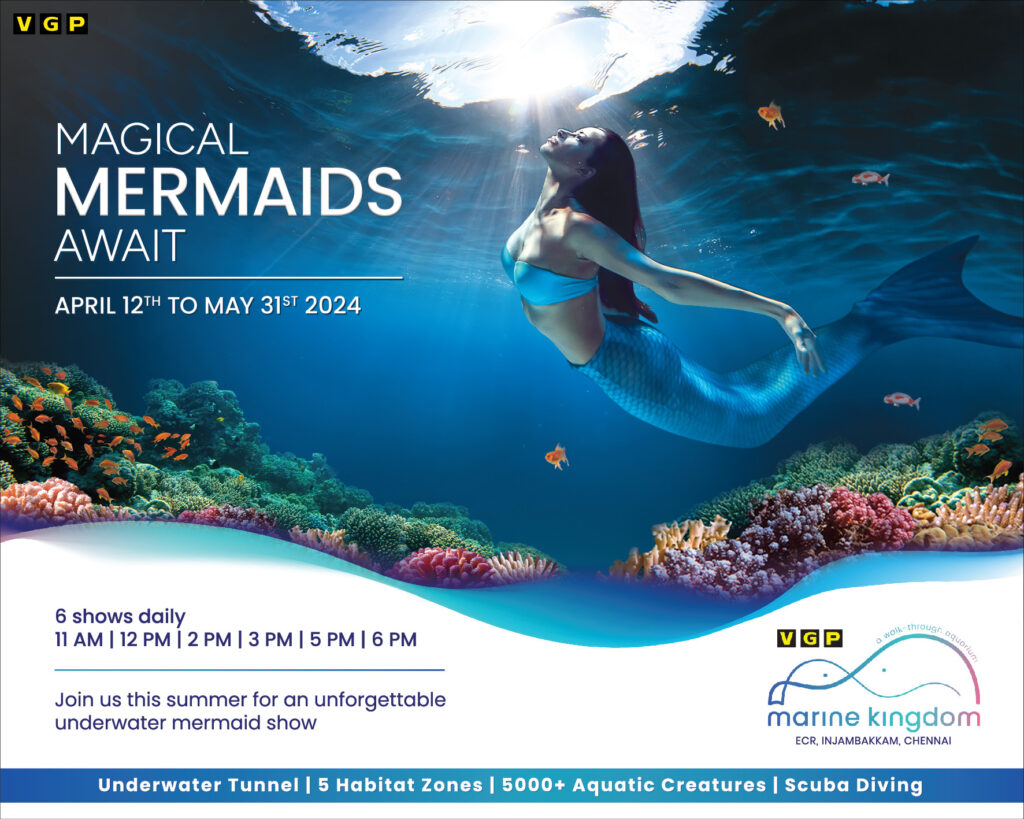 Mermaid Show - VGP Marine Kingdom