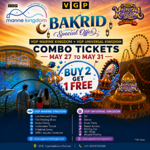 Buy 2 Get 1 ticket