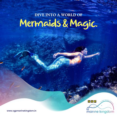 MermaidShow 02-01